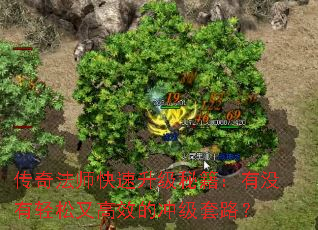 淨ʦؼûָЧĳ弶·