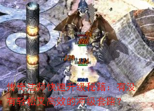 淨ʦؼûָЧĳ弶·