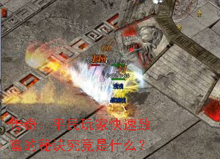 棺ƽҿ¸ؾʲô