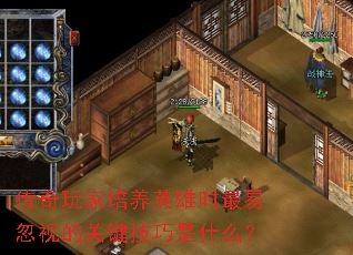Ӣʱ׺ӵĹؼʲô