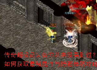 泬Ʒװûλȡǿص乥