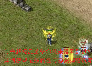 泬Ʒװûλȡǿص乥