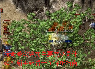 ϷҪʲôֱؿȫָ