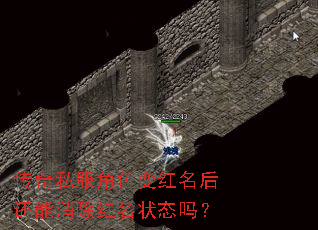 ˽ɫ״̬