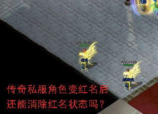 ˽ɫ״̬