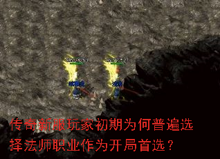 ·ҳΪձѡʦְҵΪѡ