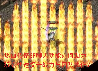 ѪSF칦ҿսŶЭ