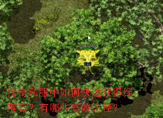 ˽οٻ̱ʯЩЧ;