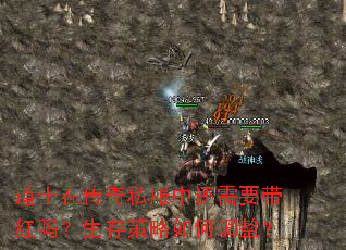 ʿڴ˽лҪε