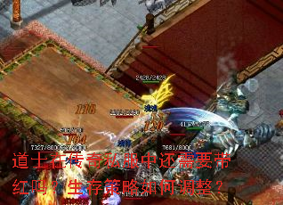 ʿڴ˽лҪε