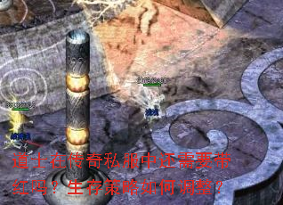 ʿڴ˽лҪε