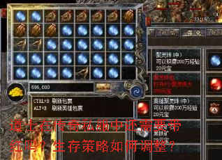 ʿڴ˽лҪε