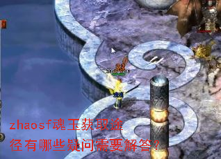 zhaosfȡ;ЩҪ