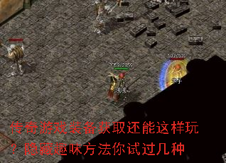 Ϸװȡ棿ȤζԹ
