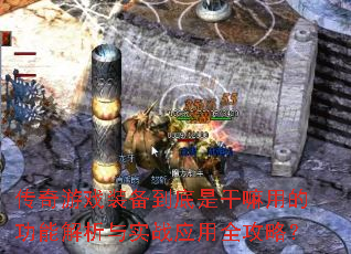 ϷװǸõĹܽʵսӦȫԣ