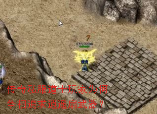 ˽ʿΪ׷ң