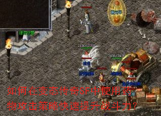 ڱ̬SFʹҩ﹥Կս