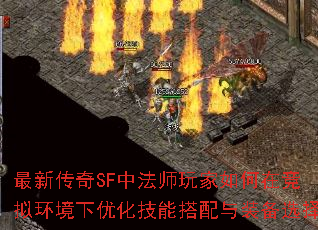 ´SFзʦھ⻷Żܴװѡ