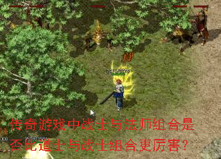 Ϸսʿ뷨ʦǷȵʿսʿϸ