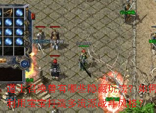 道士召唤兽有哪些隐藏玩法?如何利用宝宝打造多流派战斗风格? 道士召唤兽有哪些隐藏玩法?如何利用宝宝打造多流派战斗风格?