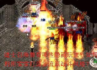 道士召唤兽有哪些隐藏玩法?如何利用宝宝打造多流派战斗风格? 道士召唤兽有哪些隐藏玩法?如何利用宝宝打造多流派战斗风格?