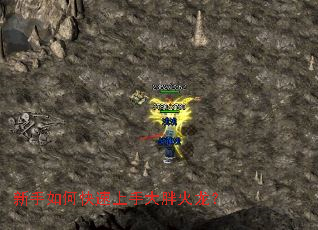 新手如何快速上手大胖火龙? 新手如何快速上手大胖火龙?