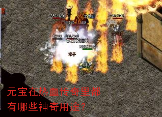 元宝在热血传奇里都有哪些神奇用途? 元宝在热血传奇里都有哪些神奇用途?