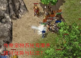 传奇宠物系统有哪些独特优势与玩法? 传奇宠物系统有哪些独特优势与玩法?