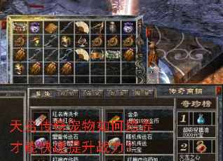 天启传奇宠物如何培养才能快速提升战力? 天启传奇宠物如何培养才能快速提升战力?