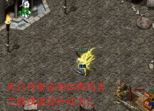 天启传奇宠物如何培养才能快速提升战力? 天启传奇宠物如何培养才能快速提升战力?