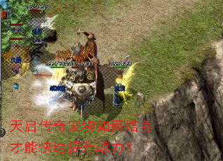 天启传奇宠物如何培养才能快速提升战力? 天启传奇宠物如何培养才能快速提升战力?