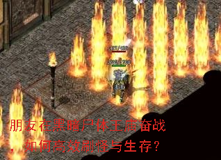 朋友在黑暗尸体王庙奋战,如何高效刷怪与生存? 朋友在黑暗尸体王庙奋战,如何高效刷怪与生存?