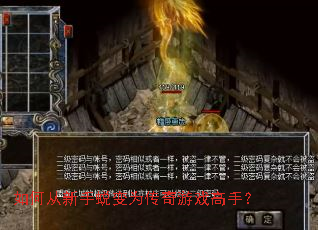 如何从新手蜕变为传奇游戏高手? 如何从新手蜕变为传奇游戏高手?