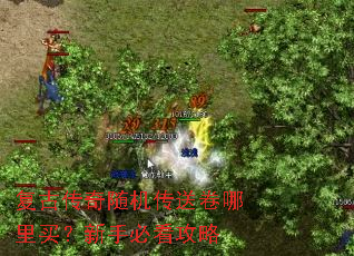 ���Ŵ���������;����������ֱؿ�����