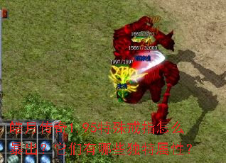 皓月传奇1.95特殊戒指怎么暴出?它们有哪些独特属性? 皓月传奇1.95特殊戒指怎么暴出?它们有哪些独特属性?