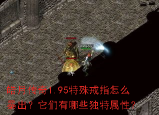 皓月传奇1.95特殊戒指怎么暴出?它们有哪些独特属性? 皓月传奇1.95特殊戒指怎么暴出?它们有哪些独特属性?