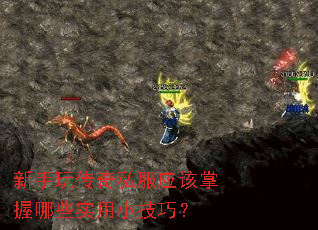 新手玩传奇私服应该掌握哪些实用小技巧? 新手玩传奇私服应该掌握哪些实用小技巧?