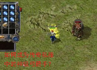 如何成为传奇私服中的神级弓箭手? 如何成为传奇私服中的神级弓箭手?