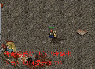 传奇弓箭护卫心里暗骂也不高?如何提升实力? 传奇弓箭护卫心里暗骂也不高?如何提升实力?