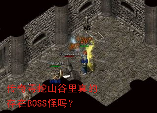 传奇毒蛇山谷里真的存在BOSS怪吗? 传奇毒蛇山谷里真的存在BOSS怪吗?