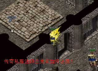 传奇私服法师兽灵术如何使用? 传奇私服法师兽灵术如何使用?