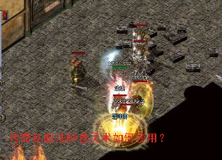 传奇私服法师兽灵术如何使用? 传奇私服法师兽灵术如何使用?