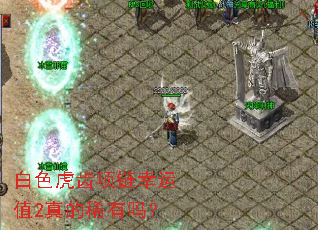 白色虎齿项链幸运值2真的稀有吗? 白色虎齿项链幸运值2真的稀有吗?