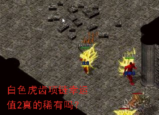 白色虎齿项链幸运值2真的稀有吗? 白色虎齿项链幸运值2真的稀有吗?