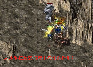 人参果在超变传奇中有什么作用? 人参果在超变传奇中有什么作用?