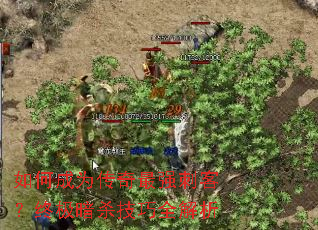 如何成为传奇最强刺客?终极暗杀技巧全解析 如何成为传奇最强刺客?终极暗杀技巧全解析