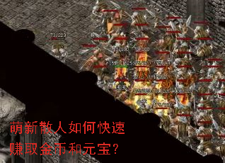 萌新散人如何快速赚取金币和元宝? 萌新散人如何快速赚取金币和元宝?