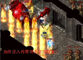 ��ν��봫�������۹�������