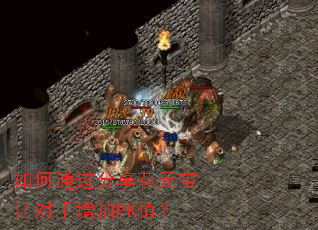 ���ͨ��������Ԫ���ö�������PKֵ��