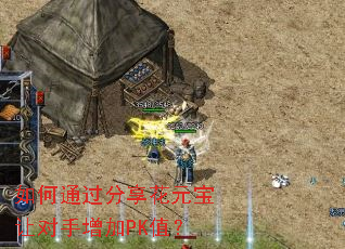 ���ͨ��������Ԫ���ö�������PKֵ��